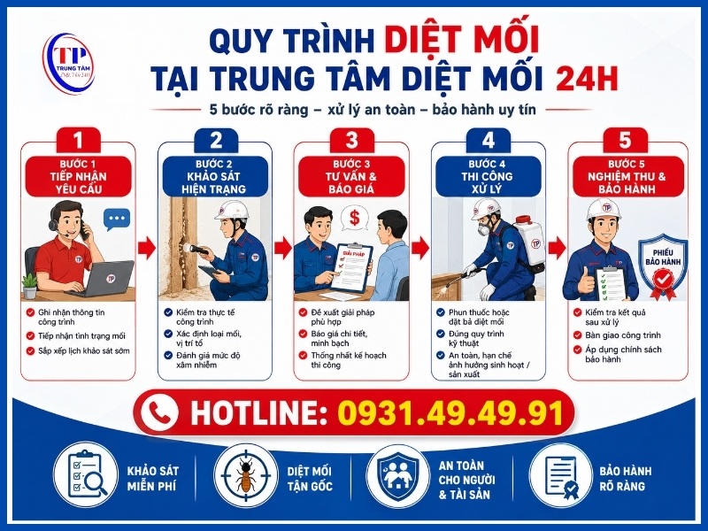 Quy trình 5 bước diệt mối tại Trung Tâm Diệt Mối 24H
