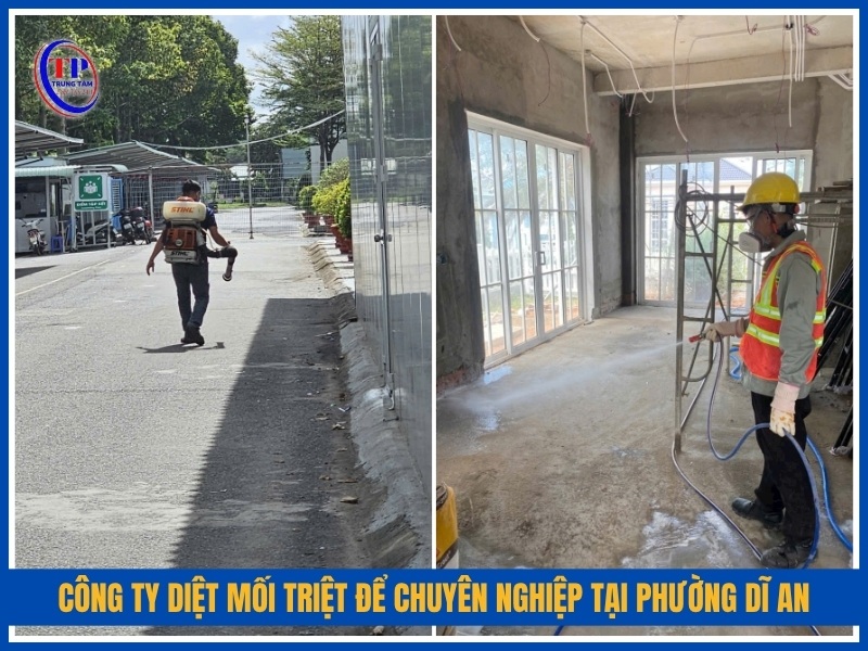 Công ty diệt mối triệt để chuyên nghiệp tại Phường Dĩ An