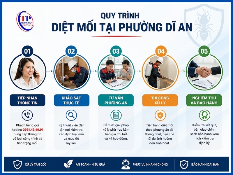 Quy trình 5 bước diệt mối tại Phường Dĩ An