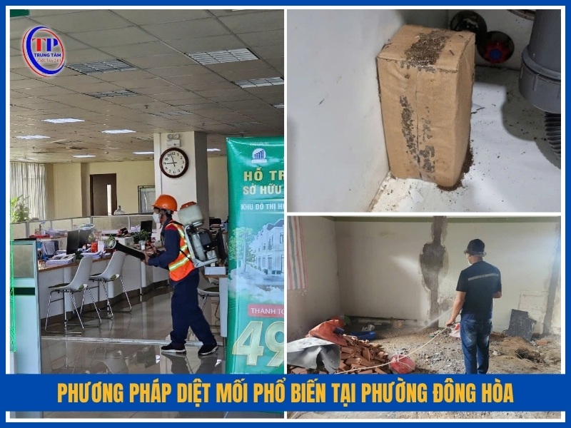 phương pháp diệt mối phổ biến tại Phường Đông Hòa
