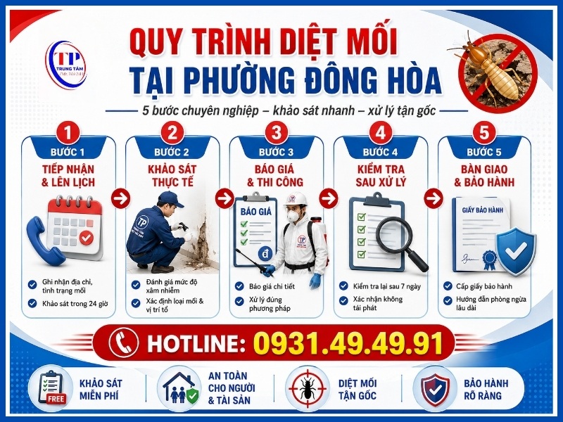 Quy trình 5 bước diệt mối tại Phường Đông Hòa