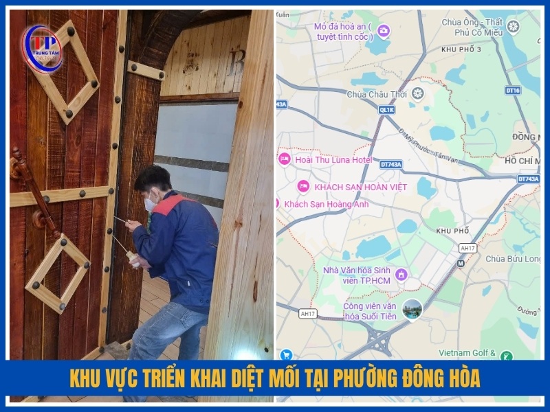 Khu vực triển khai diệt mối tại Phường Đông Hòa