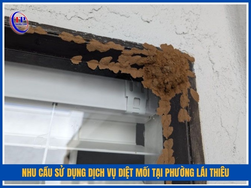 Nhu cầu sử dụng dịch vụ diệt mối tại Phường Lái Thiêu
