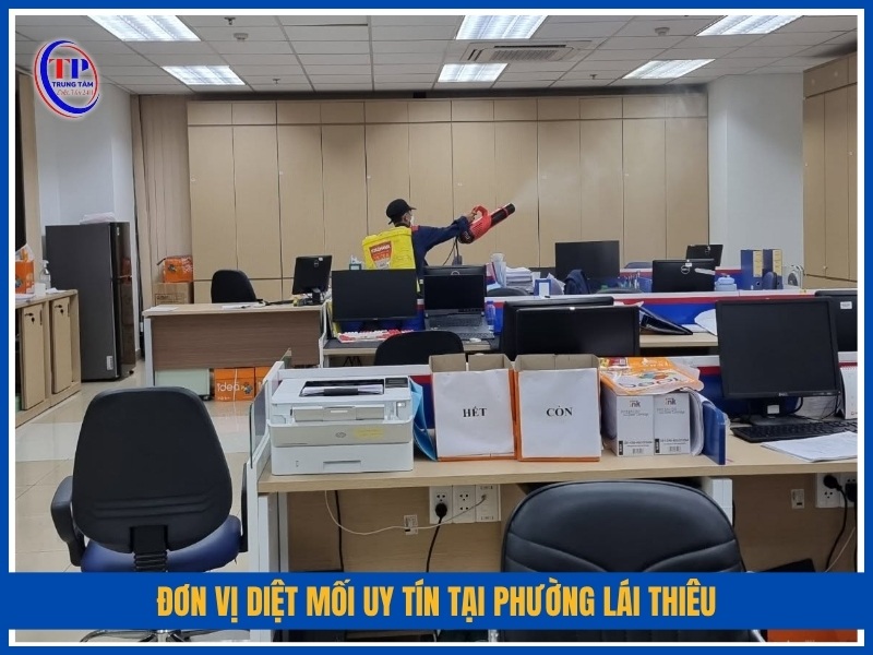 Trung Tâm Diệt Mối 24H – Đơn vị diệt mối uy tín tại Phường Lái Thiêu