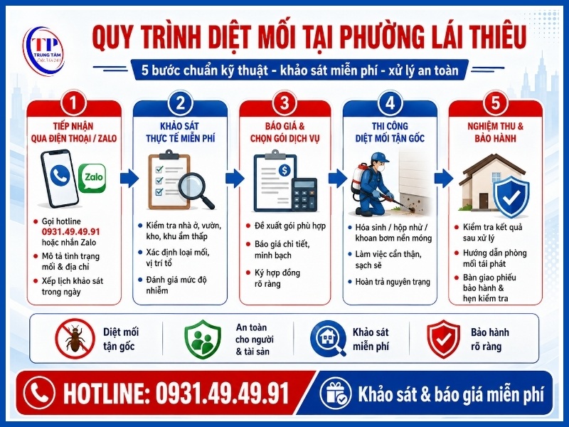 Quy trình 5 bước diệt mối tại Phường Lái Thiêu