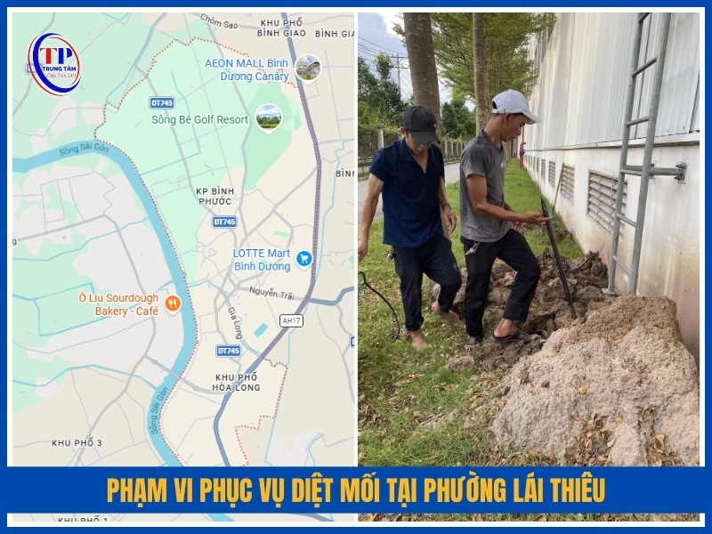 Phạm vi phục vụ diệt mối tại Phường Lái Thiêu