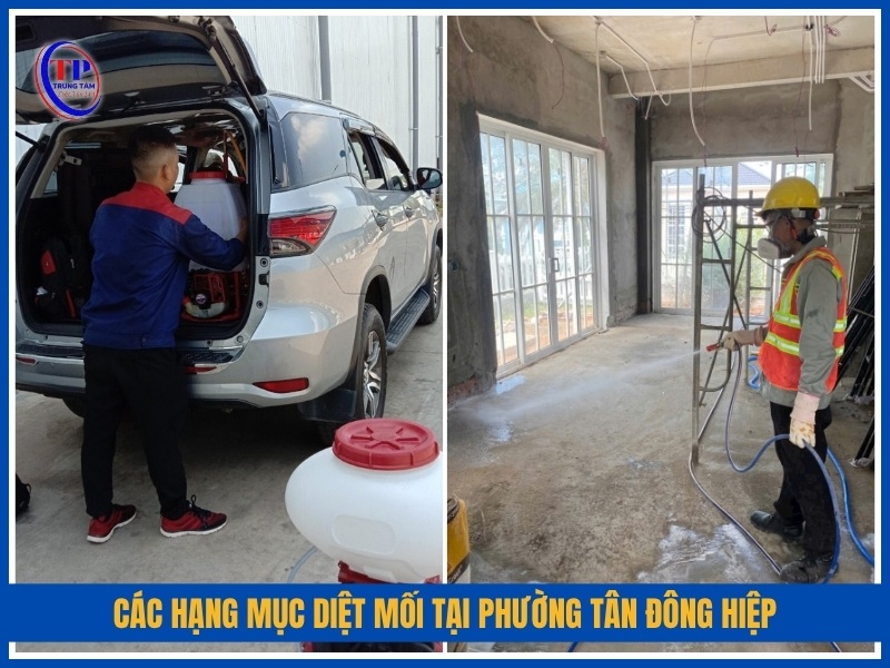 Các hạng mục diệt mối tại Phường Tân Đông Hiệp