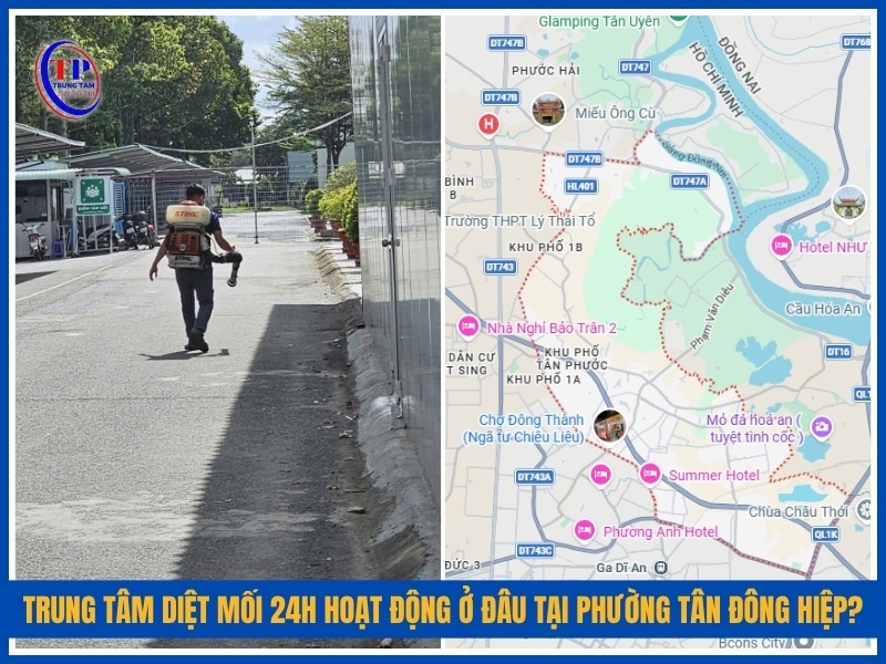 Trung Tâm Diệt Mối 24H hoạt động ở đâu tại Phường Tân Đông Hiệp?
