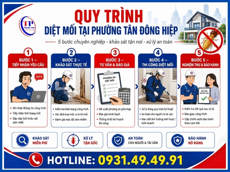 Quy trình 5 bước diệt mối tại Phường Tân Đông Hiệp
