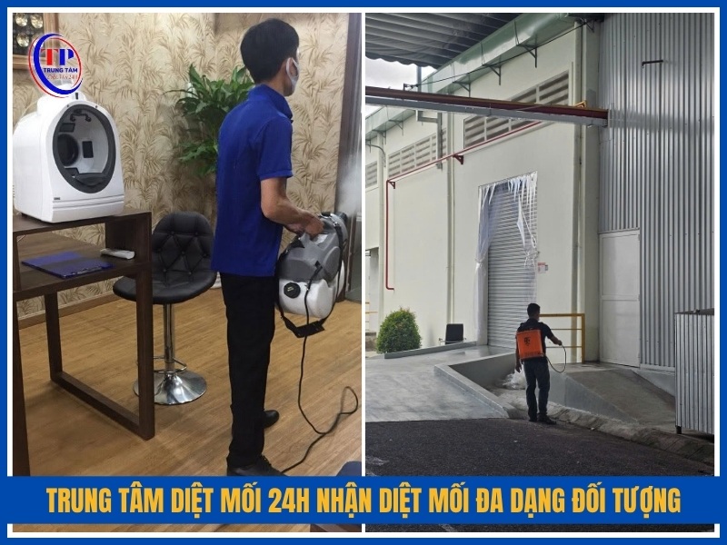 Trung Tâm Diệt Mối 24H nhận diệt mối đa dạng đối tượng