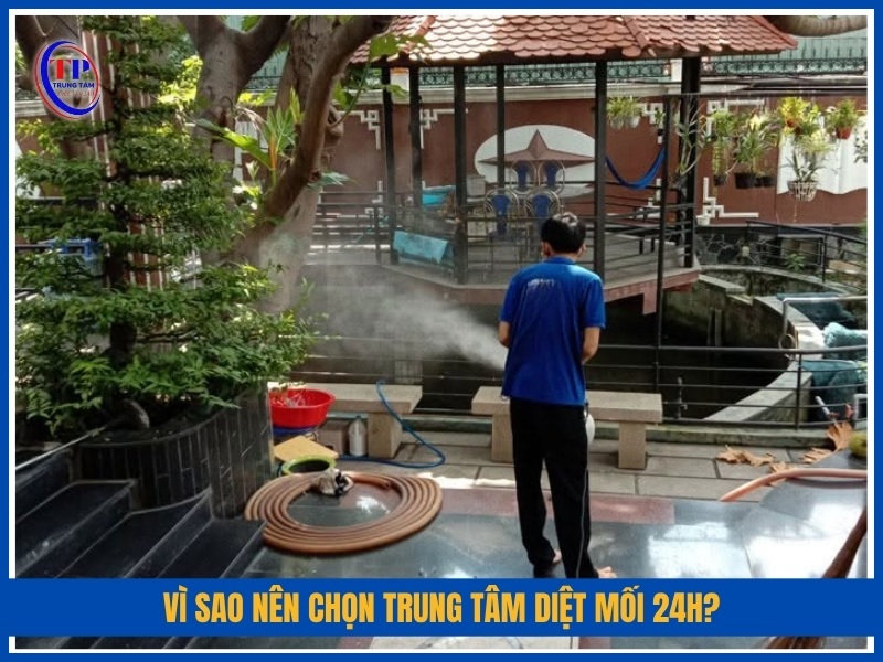 Vì sao nên chọn Trung Tâm Diệt Mối 24H?