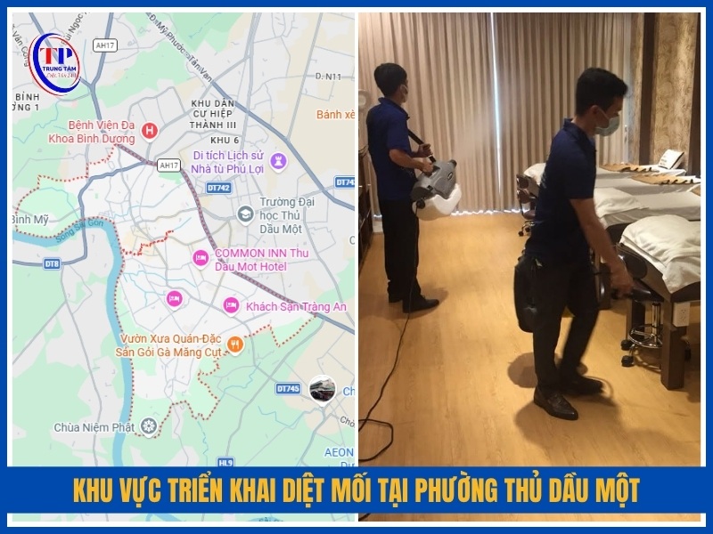 Khu vực triển khai diệt mối tại Phường Thủ Dầu Một