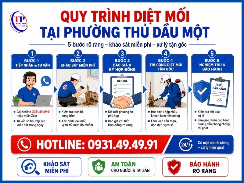 Quy trình 5 bước diệt mối tại Phường Thủ Dầu Một