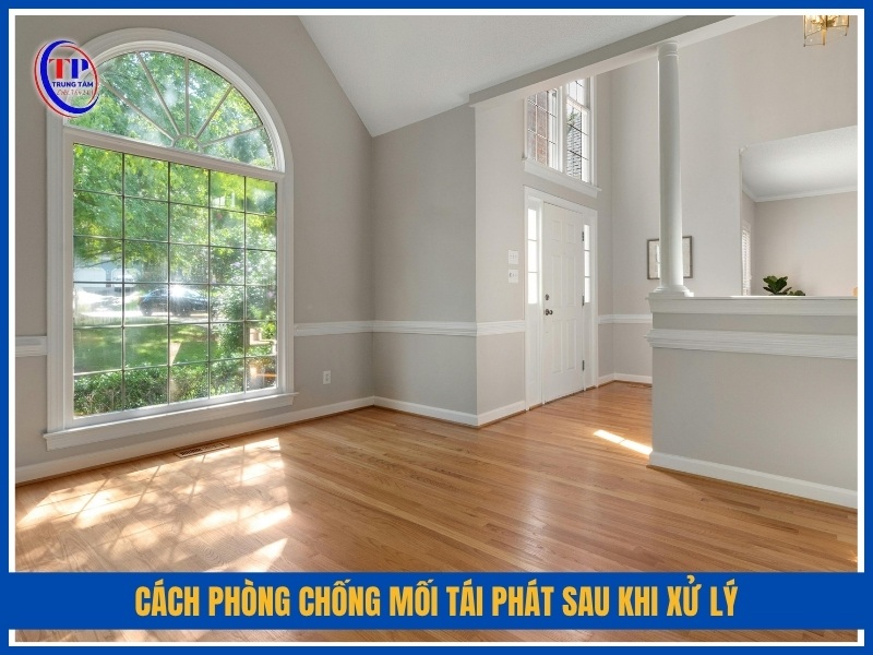 Cách phòng chống mối tái phát sau khi xử lý