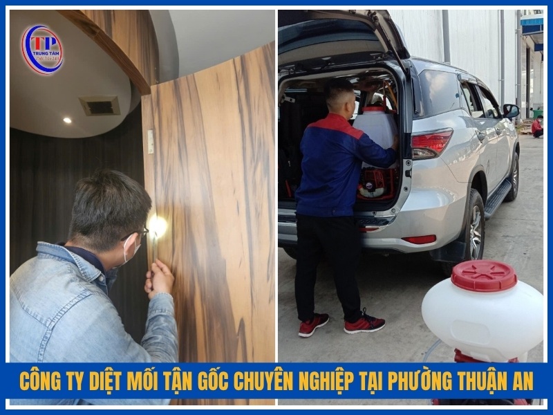 Công ty diệt mối tận gốc chuyên nghiệp tại Phường Thuận An