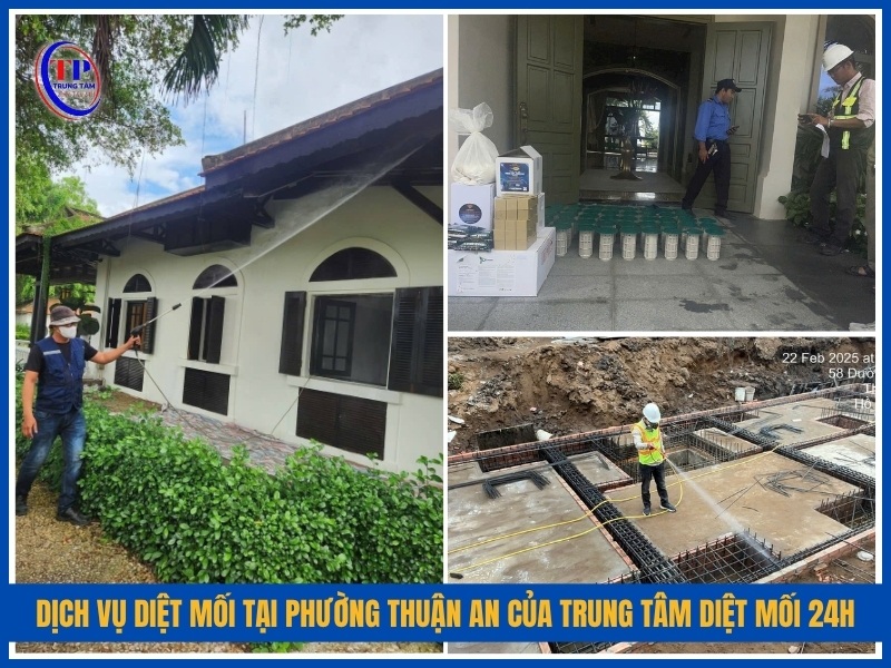 Dịch vụ diệt mối tại Phường Thuận An của Trung Tâm Diệt Mối 24H gồm những gì?