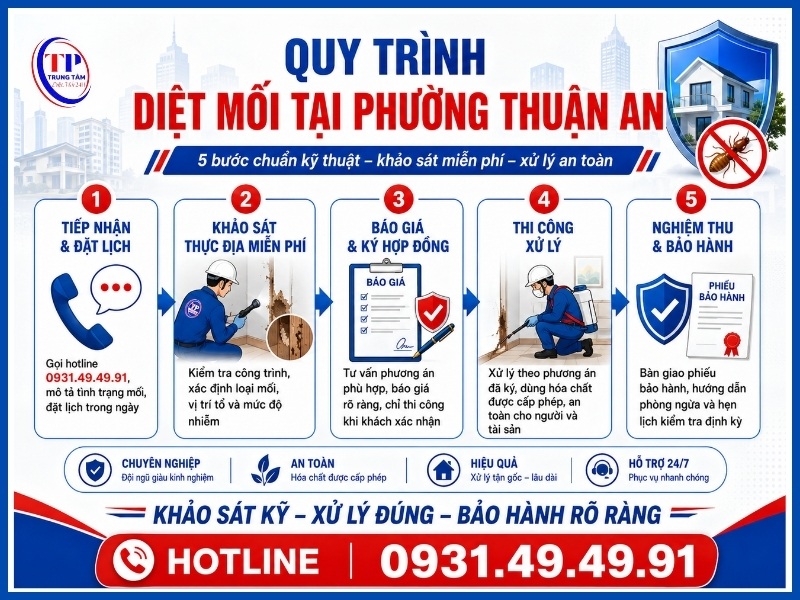 Quy trình 5 bước diệt mối tại Phường Thuận An