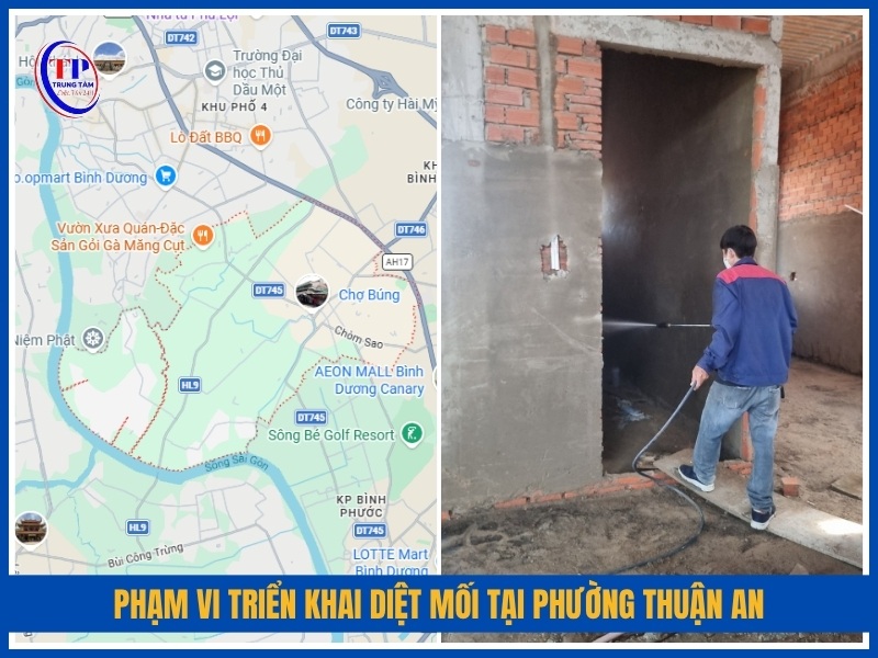 Phạm vi triển khai diệt mối tại Phường Thuận An