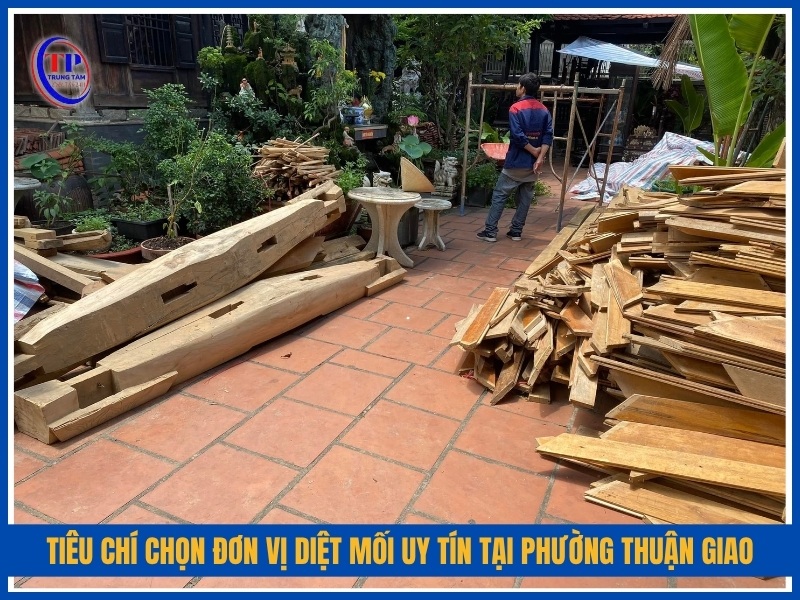 tiêu chí chọn đơn vị diệt mối uy tín tại Phường Thuận Giao