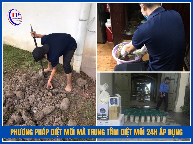 3 phương pháp diệt mối hiệu quả mà Trung Tâm Diệt Mối 24H áp dụng