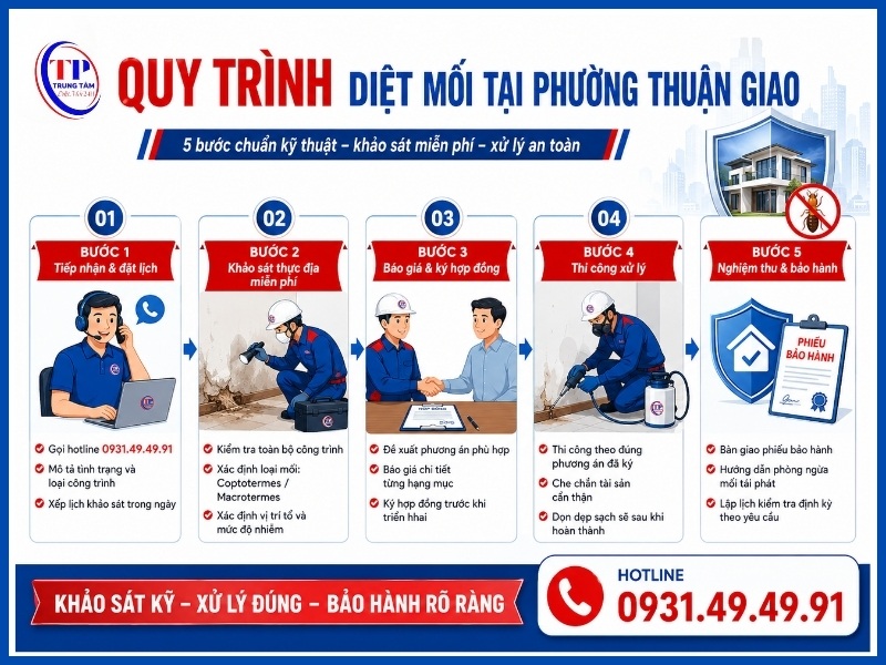 Quy trình diệt mối tại Phường Thuận Giao gồm mấy bước?