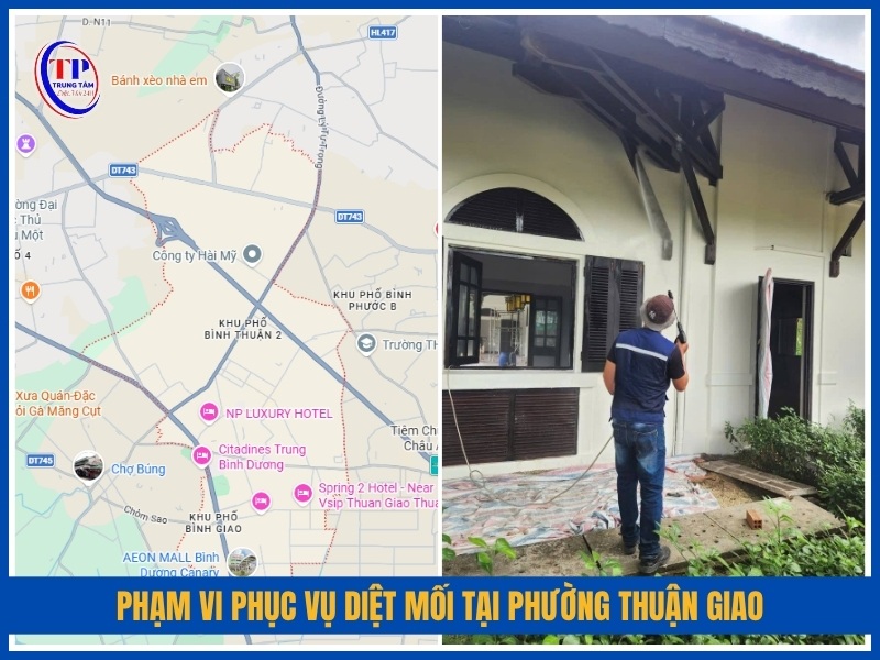Phạm vi phục vụ diệt mối tại Phường Thuận Giao