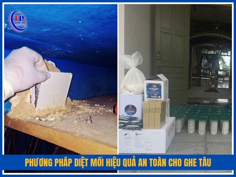 phương pháp diệt mối hiệu quả an toàn cho ghe tàu