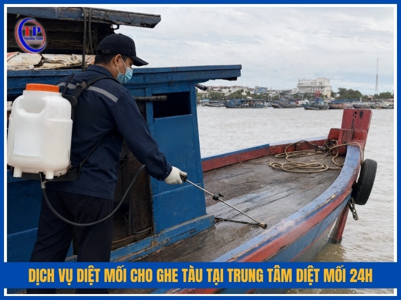 Vì sao nên chọn dịch vụ diệt mối cho ghe tàu tại Trung Tâm Diệt Mối 24H?