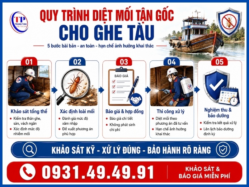 Quy trình 5 bước diệt mối tận gốc cho ghe tàu chuyên nghiệp