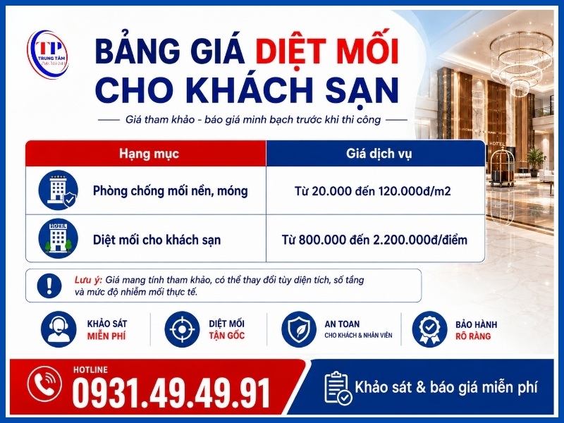 Bảng giá diệt mối cho khách sạn mới nhất