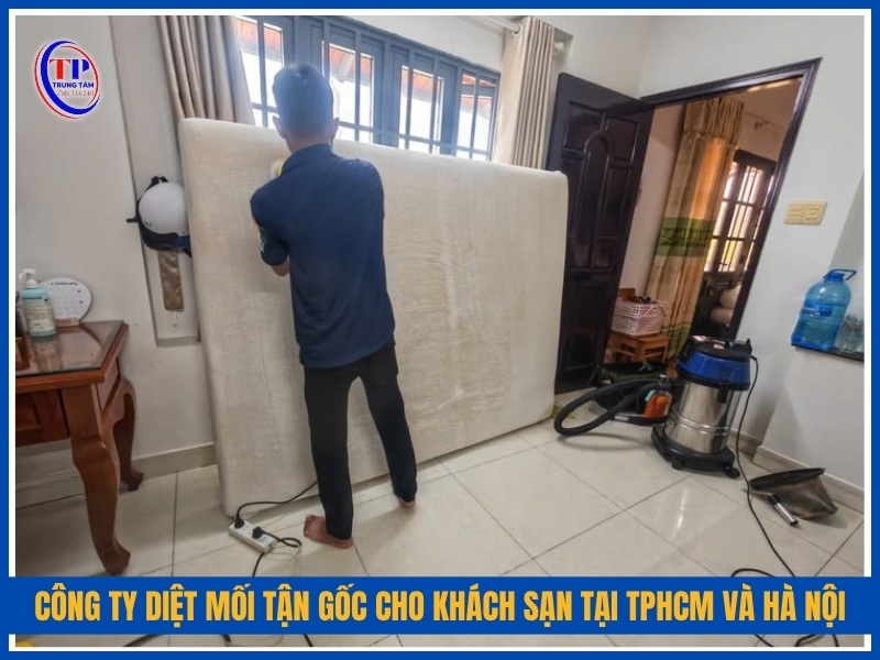 Công ty diệt mối tận gốc hiệu quả cho khách sạn tại TPHCM và Hà Nội