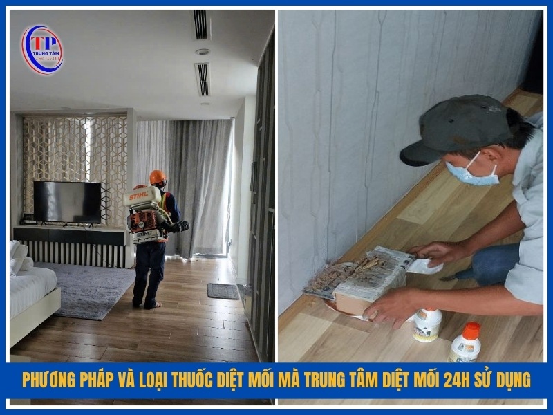 Phương pháp và loại thuốc diệt mối mà Trung Tâm Diệt Mối 24H sử dụng