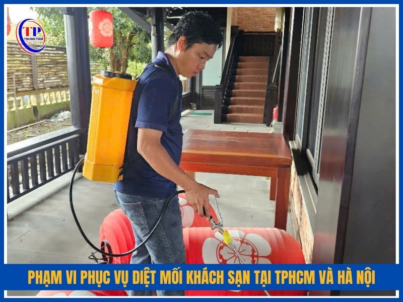 Phạm vi phục vụ diệt mối khách sạn tại TPHCM và Hà Nội