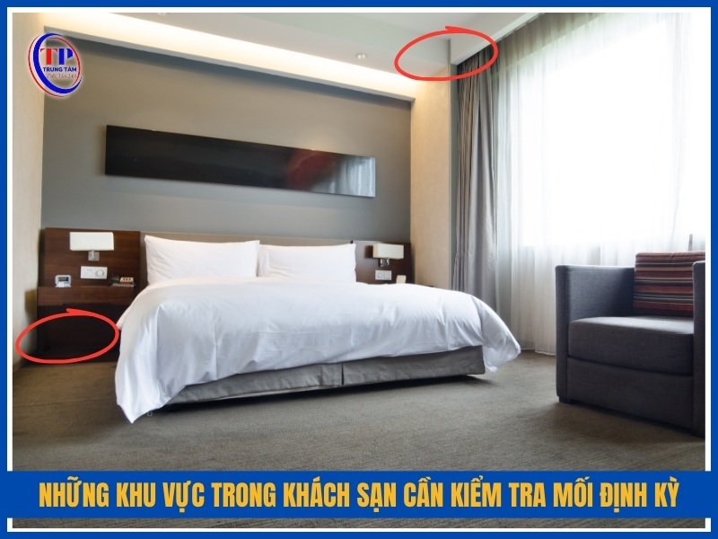 Những khu vực trong khách sạn cần kiểm tra mối định kỳ