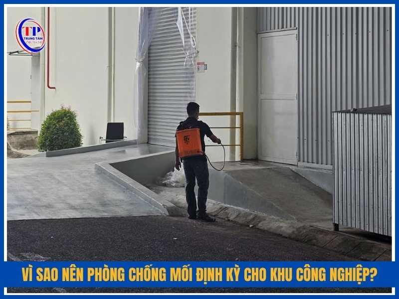 Vì sao nên phòng chống mối định kỳ cho khu công nghiệp?