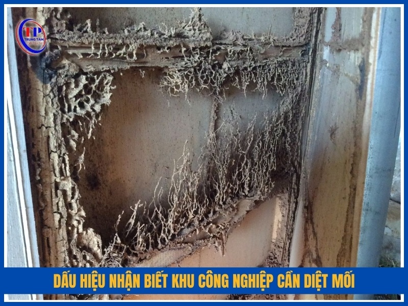 dấu hiệu nhận biết khu công nghiệp cần diệt mối