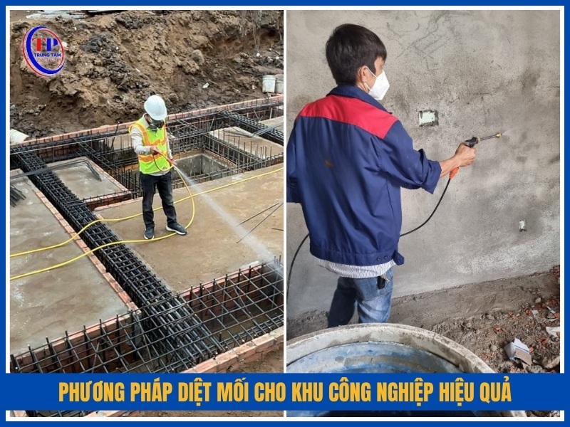 phương pháp diệt mối cho khu công nghiệp hiệu quả