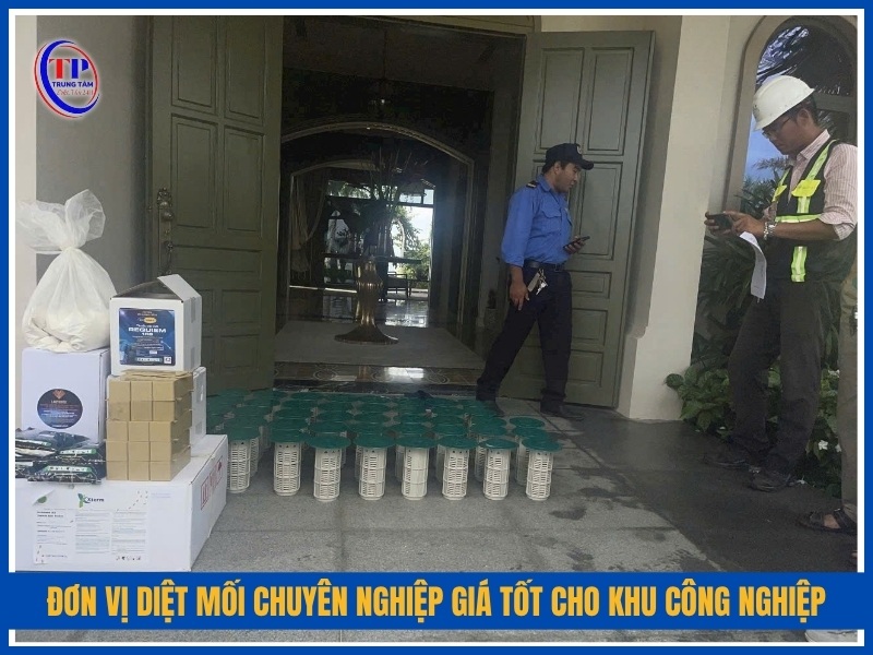 Đơn vị diệt mối chuyên nghiệp giá tốt cho khu công nghiệp