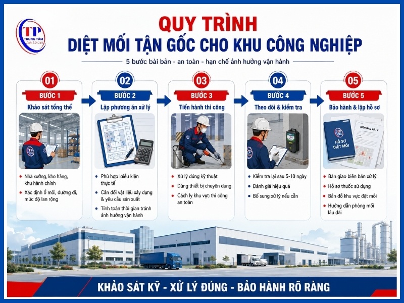 Quy trình 5 bước diệt mối tận gốc cho khu công nghiệp