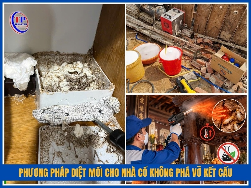 phương pháp diệt mối cho nhà cổ không phá vỡ kết cấu