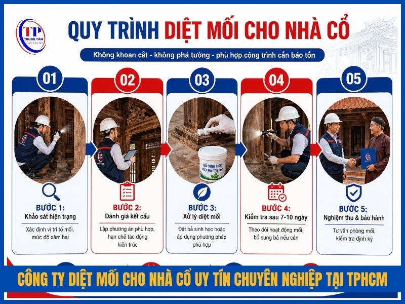Quy trình 5 bước diệt mối cho nhà cổ tại Trung Tâm Diệt Mối 24H