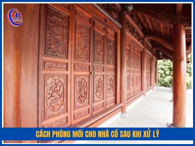 lưu ý quan trọng khi diệt mối cho nhà cổ