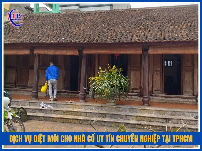 Dịch vụ diệt mối cho nhà cổ uy tín chuyên nghiệp tại TPHCM