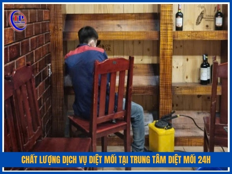 Cam kết chất lượng dịch vụ diệt mối