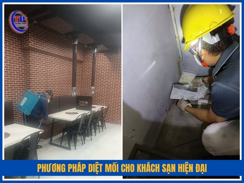 Phương pháp diệt mối hiện đại