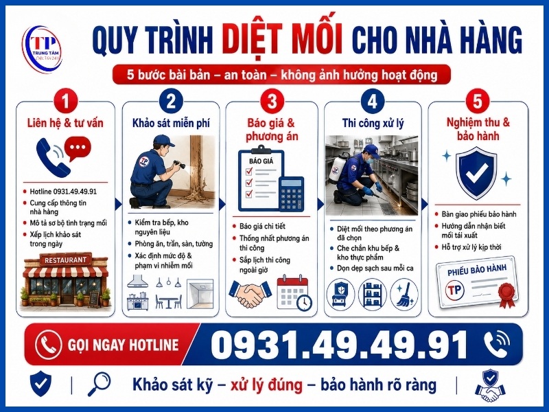 Quy trình 5 bước diệt mối cho nhà hàng