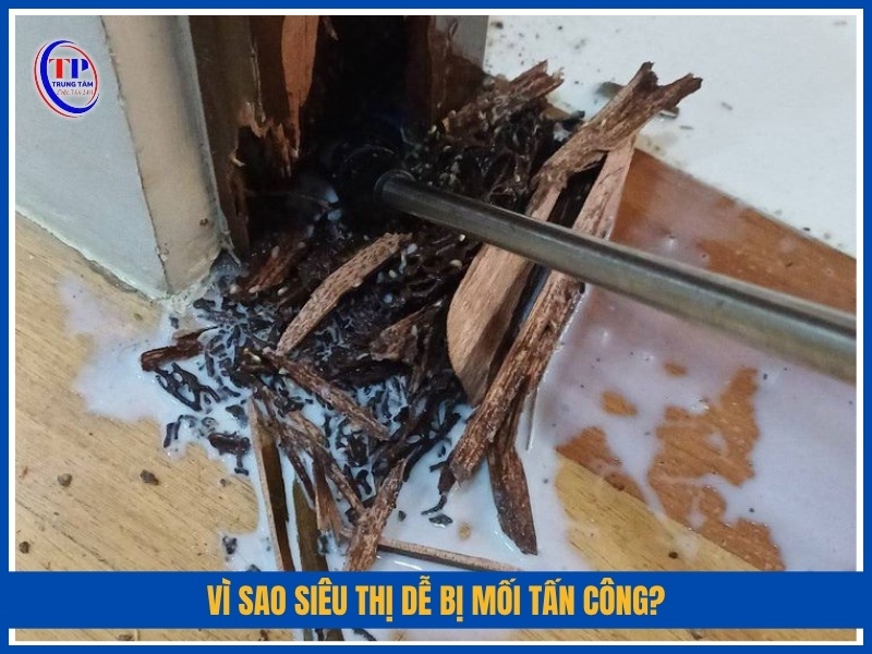 Vì sao siêu thị dễ bị mối tấn công?