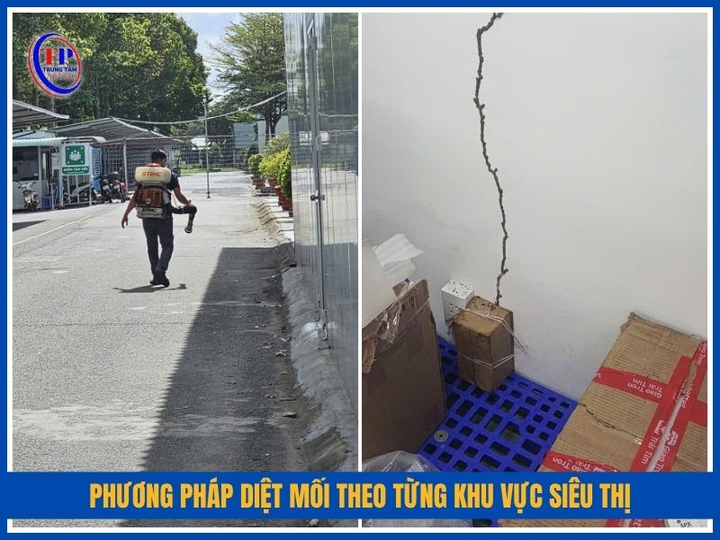 Phương pháp diệt mối theo từng khu vực siêu thị