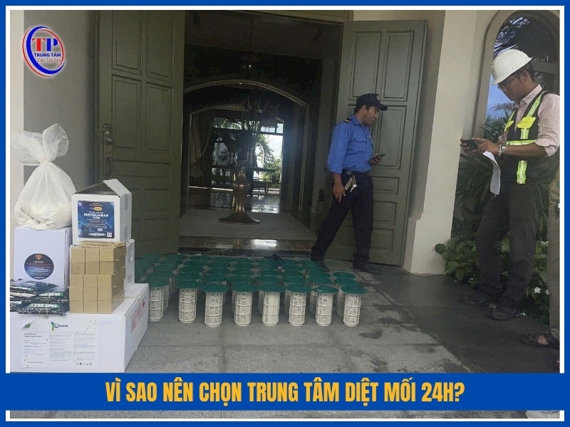 Vì sao nên chọn Trung Tâm Diệt Mối 24H?