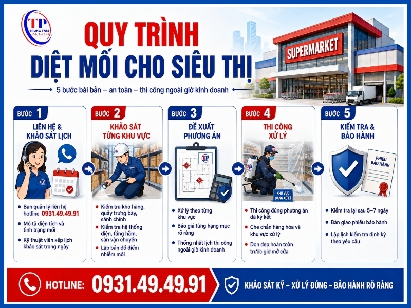 Quy trình 5 bước diệt mối cho siêu thị
